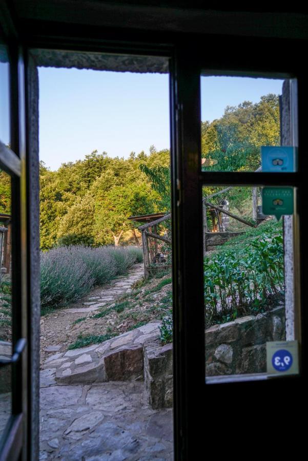 Agriturismo La Colombella Bagni San Filippo Exterior foto