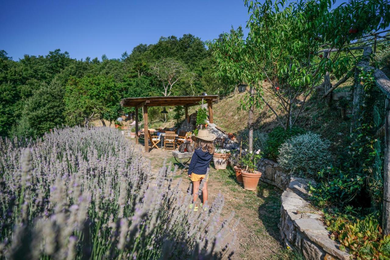 Agriturismo La Colombella Bagni San Filippo Exterior foto