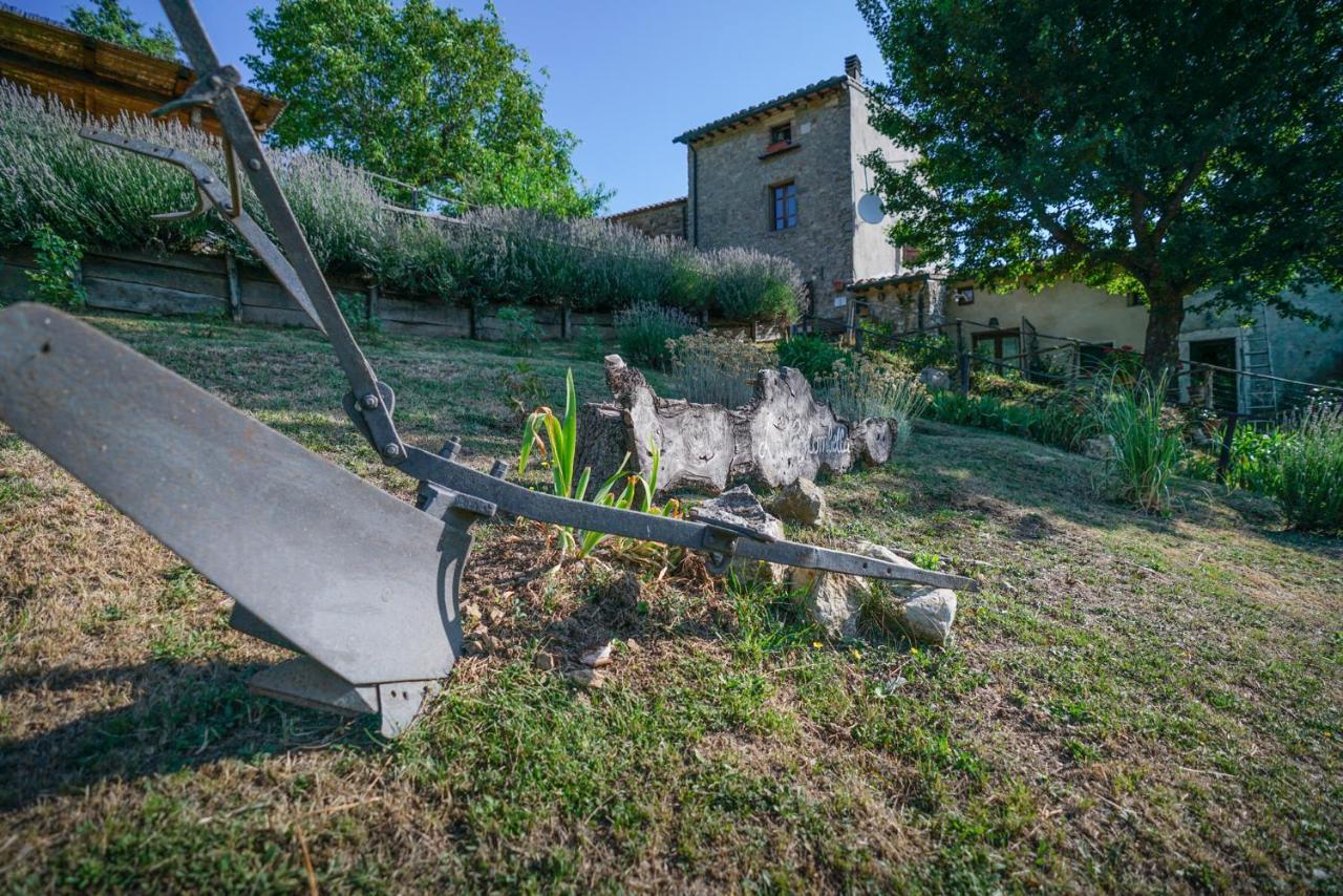 Bed and Breakfast Agriturismo La Colombella Bagni San Filippo Exterior foto